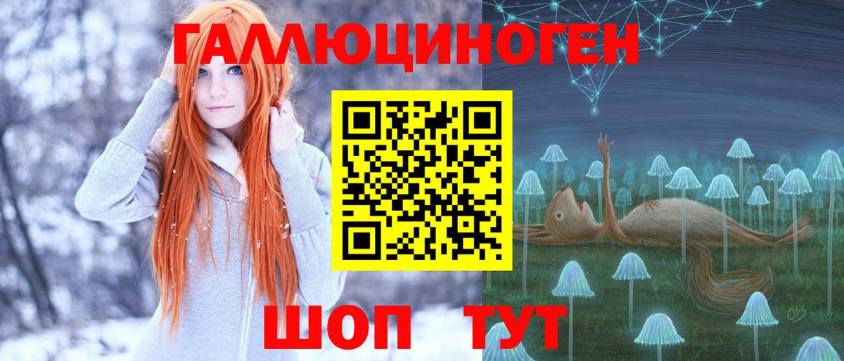 Псилоцибиновые грибы Psilocybine cubensis Нижний Тагил